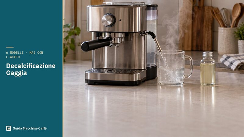 Illustrazione della decalcificazione Gaggia: macchina espresso manuale che eroga la soluzione dal tubo vapore in una caraffa
